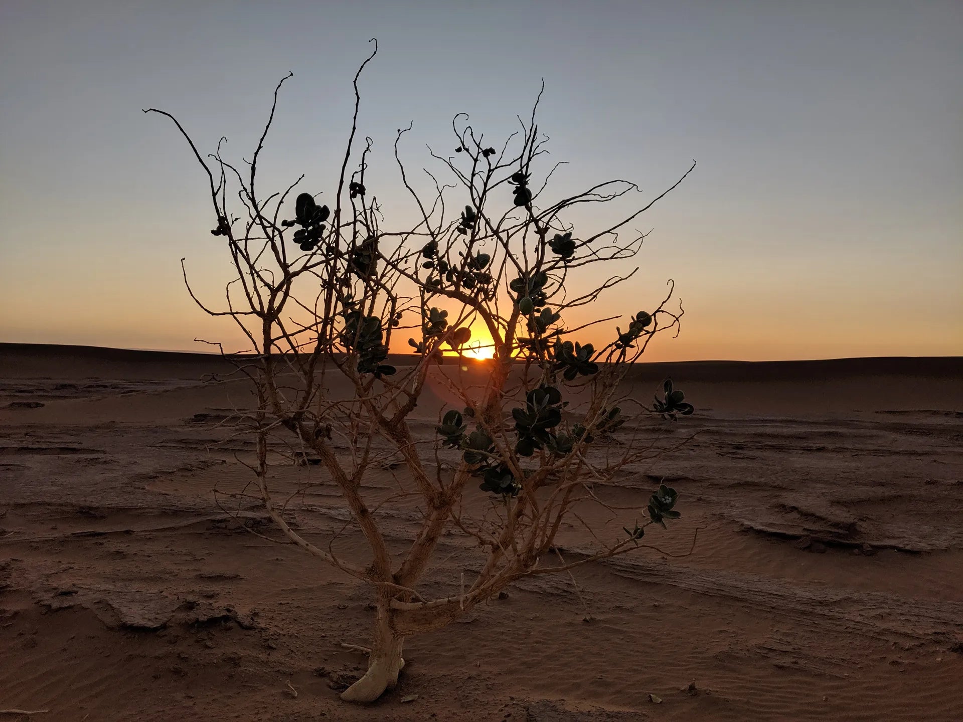 Morocco Electronic Music Travel Guide