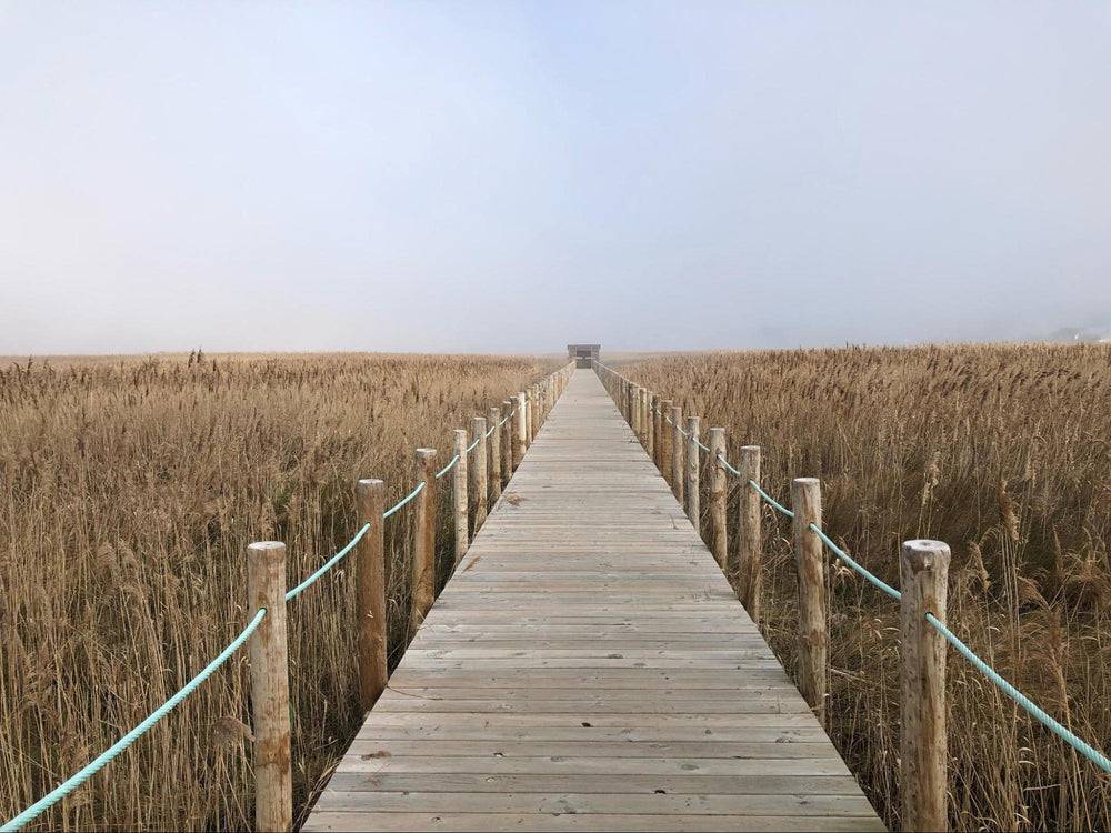 Esmoriz & Atlantic Coast Electronic Music Travel Guide by Sheila