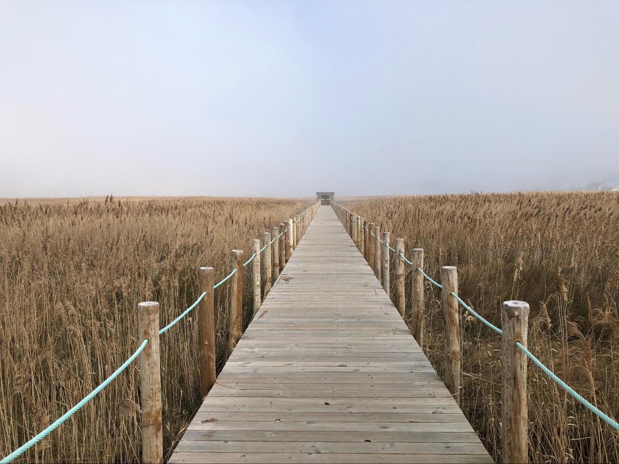 Esmoriz & Atlantic Coast Electronic Music Travel Guide by Sheila