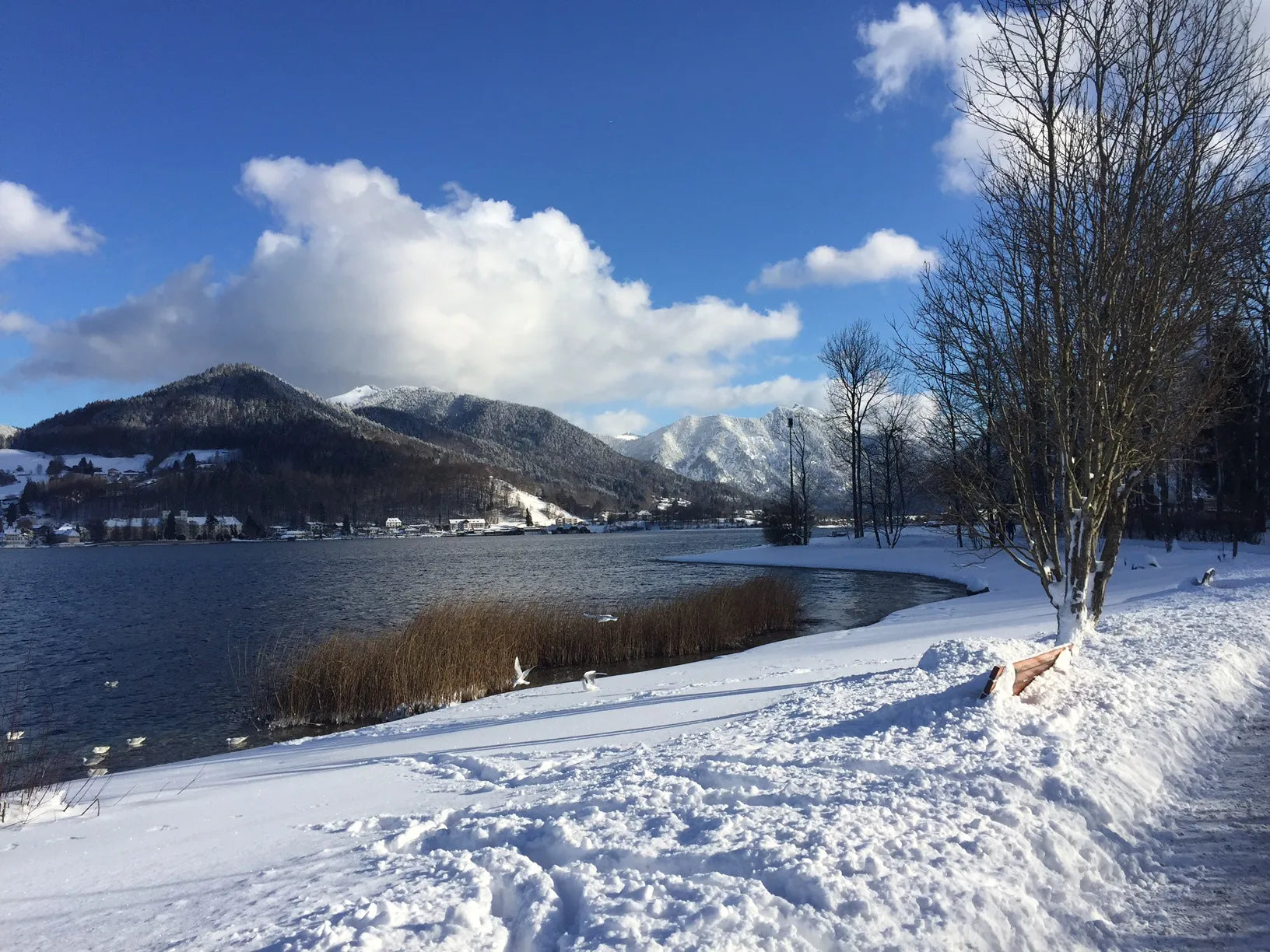 Tegernsee Electronic Music Travel Guide